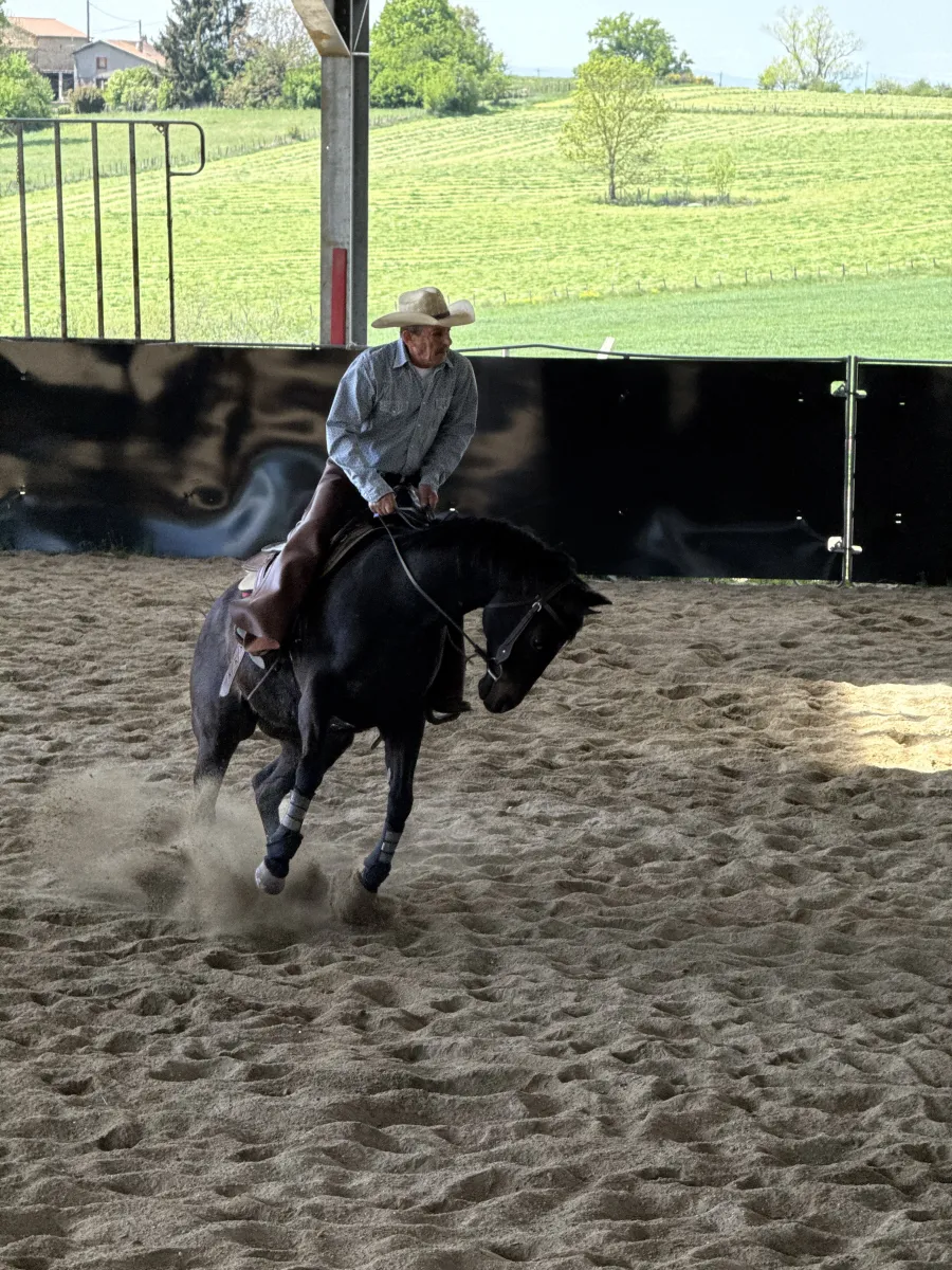 Western Riding